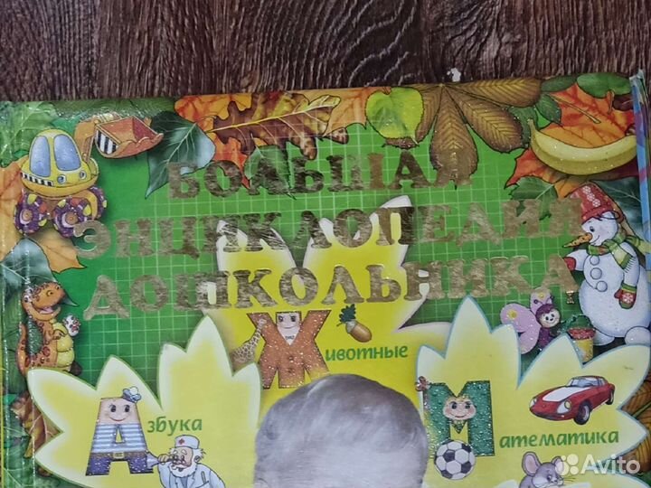 Большая энциклопедия дошкольника