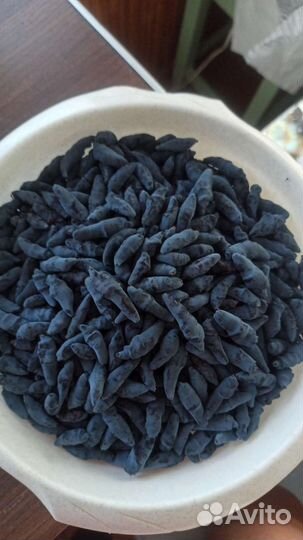 Жимолость кустовидная,трехлетка