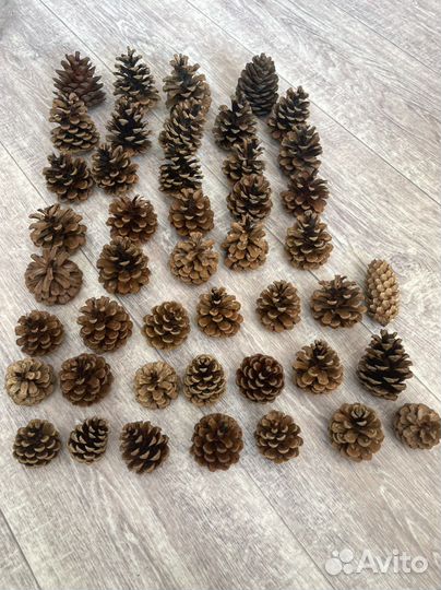 Шишки для поделок, декора интерьера