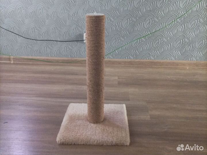 Когтеточка