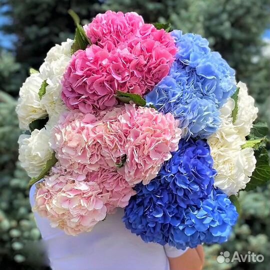 WOW Букеты из Гортензий. Доставка/Самовывоз