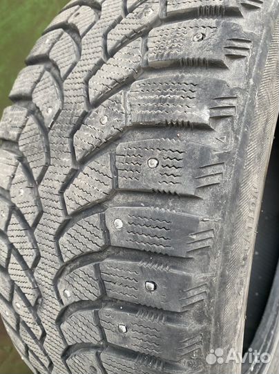 Bridgestone Blizzak DM-V1 225/50 R17