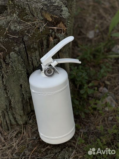 Огнетушитель с краской