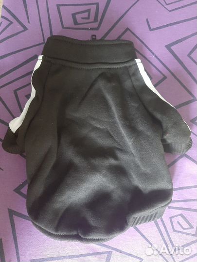 Одежда для маленькой собачки