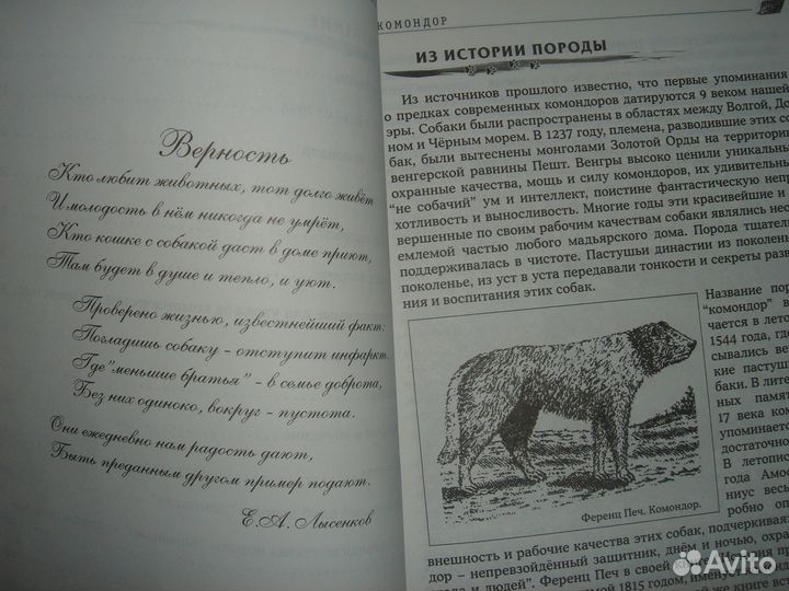 Собака 