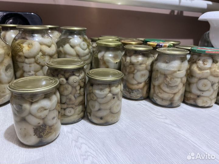 Грибы грузди маринованные