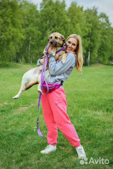 Собака в добрые руки, Никс