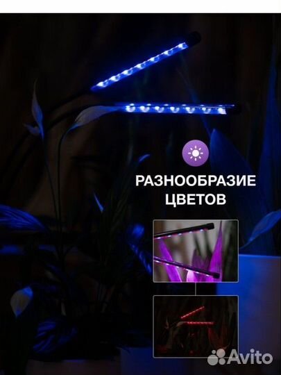 Фитолампа для растений