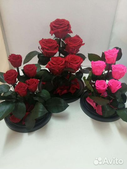 Подарок на новый год / Роза в колбе