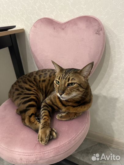 Детское школьное кресло