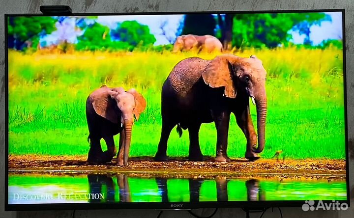 Телевизор Sony Bravia