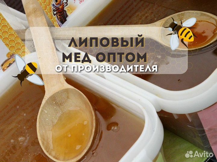 Липовый мед оптом
