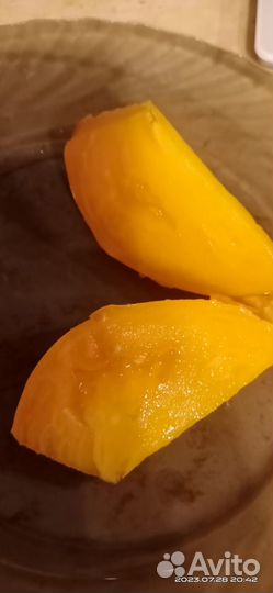 Семена коллекционных томатов