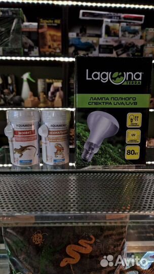 Террариум для бородатой агамы