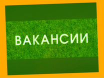 Сотрудник склада вахта без опыта Еженедельный аванс Жилье/Еда