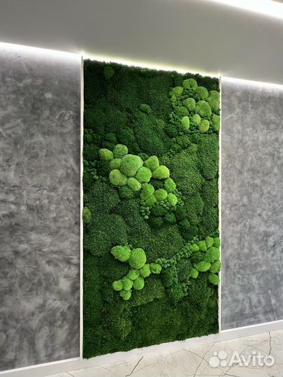 Стабилизированный мох