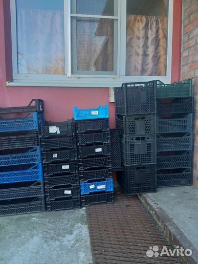 Пластиковые ящики для овощей бу