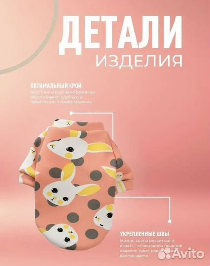 Одежда для собак