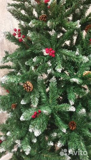 Ель Пышная красавица 180 см