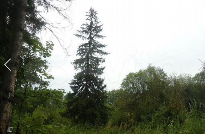 Участок 19,5 га (ИЖС)