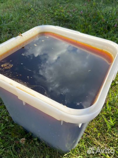 Мед оптом с Алтая / Экспорт в Китай и снг