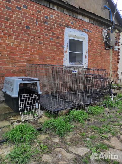 Клетка вольер для собак бу