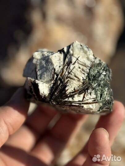 Астрофиллит в альбите и эгирине