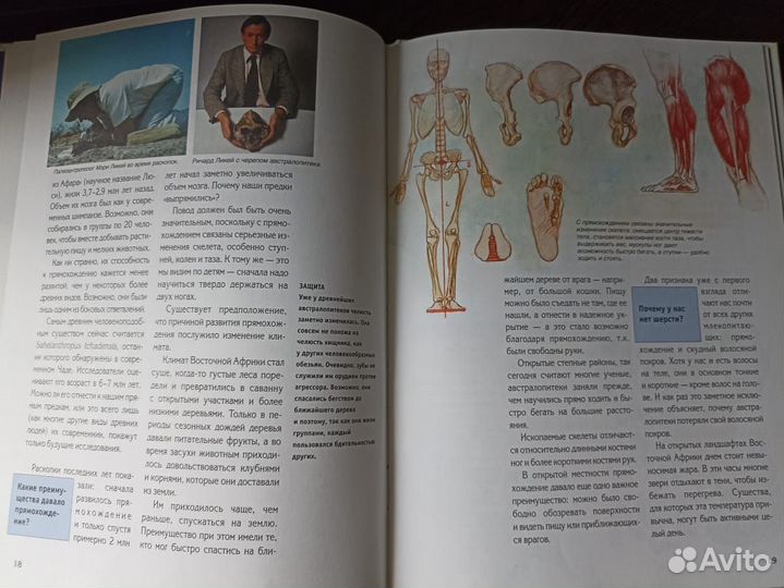 Энциклопедия 