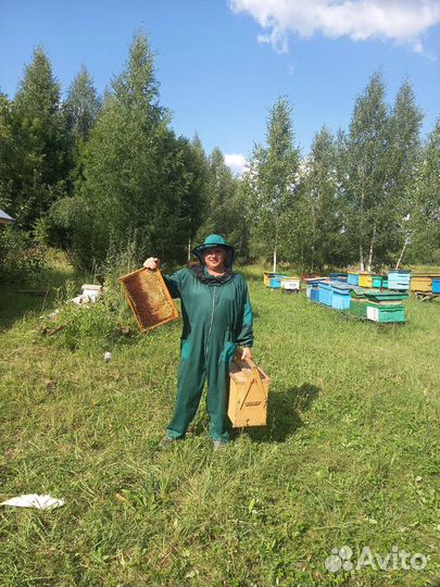 Улей с пчелами