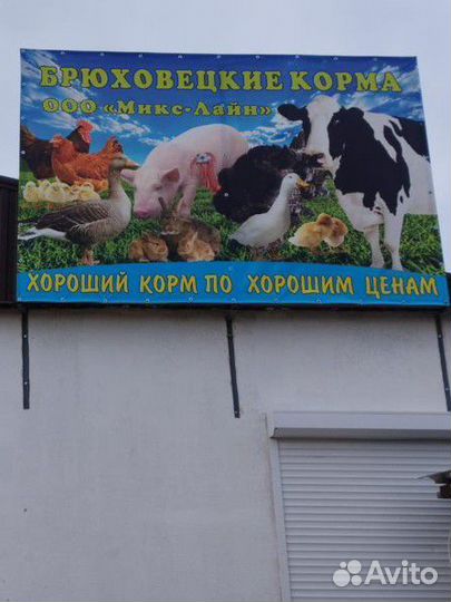 Корма магазин для животных