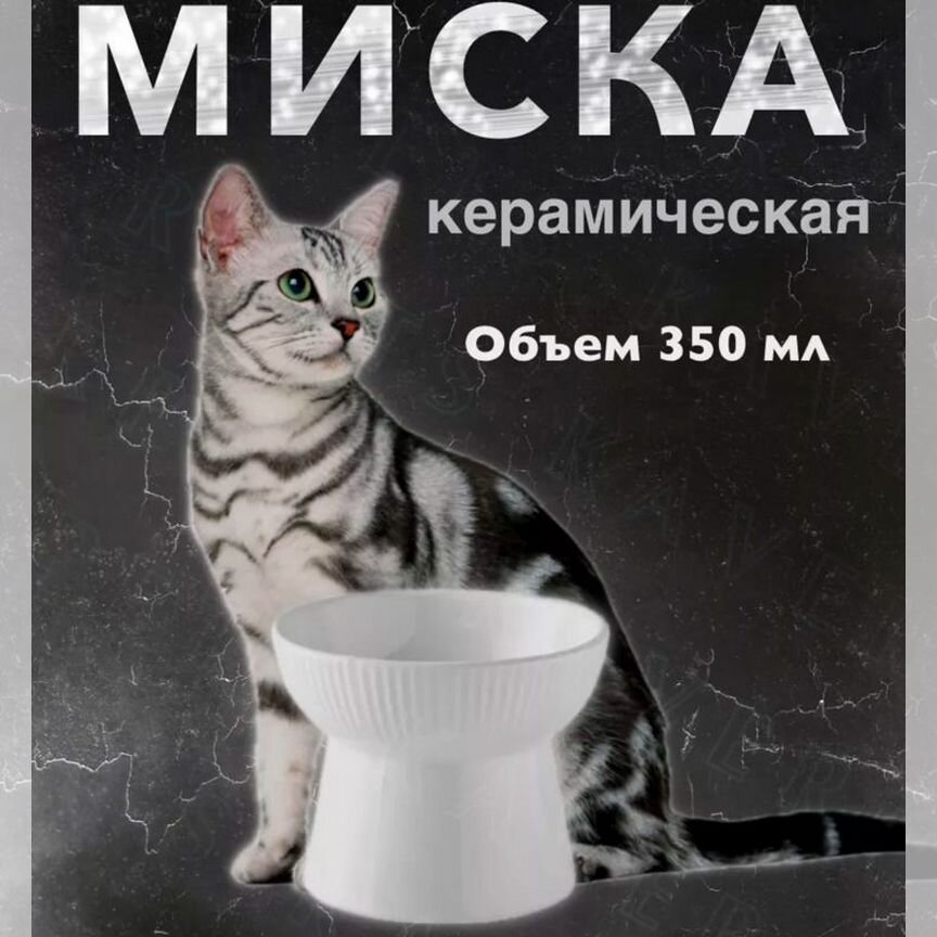 Миска керамическия для кошек