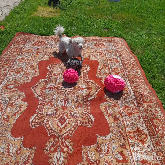 Супер игрушка