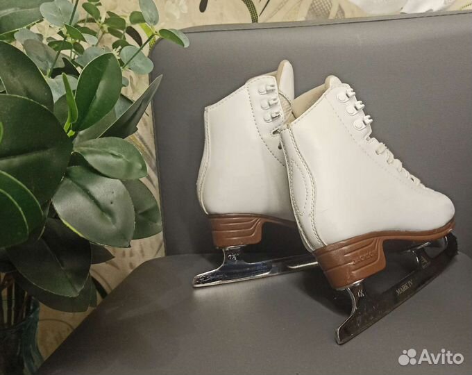 Фигурные коньки Jackson Artiste