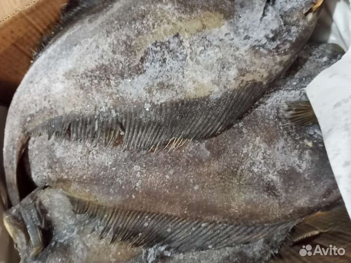 Палтус с/м пбг