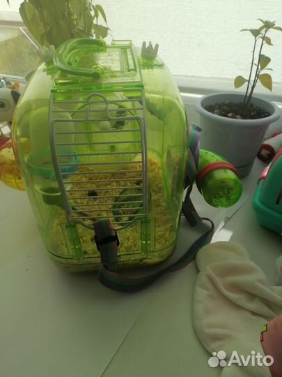 Клетка для грызунов