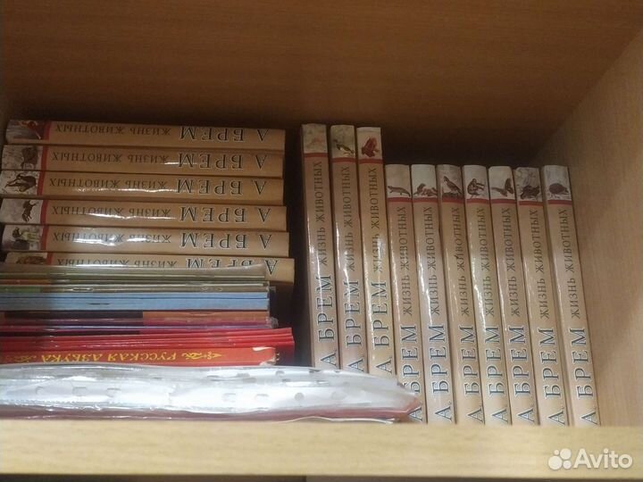 Книги Альфреда Брема о животных, птицах и др