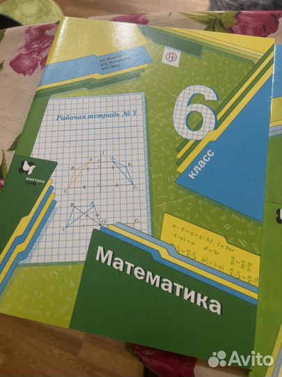 Рабочие тетради 6 класс