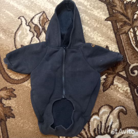 Одежда для собак шпиц