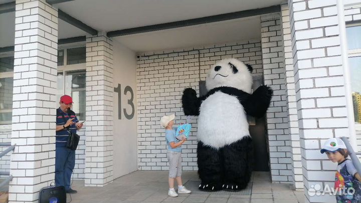 Весёлое экспресс поздравление Панды с дядей Колей