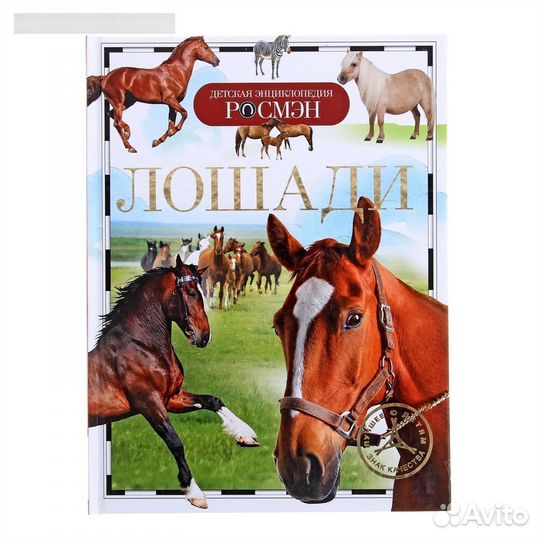 Энциклопедия 