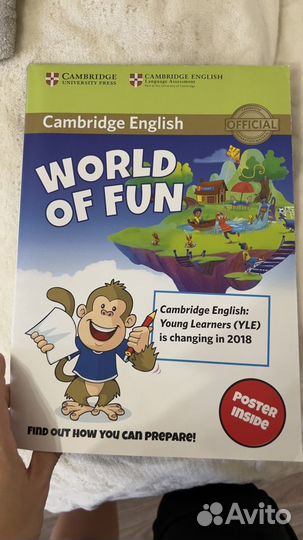 Cambridge YLE FUN постер плакат activities