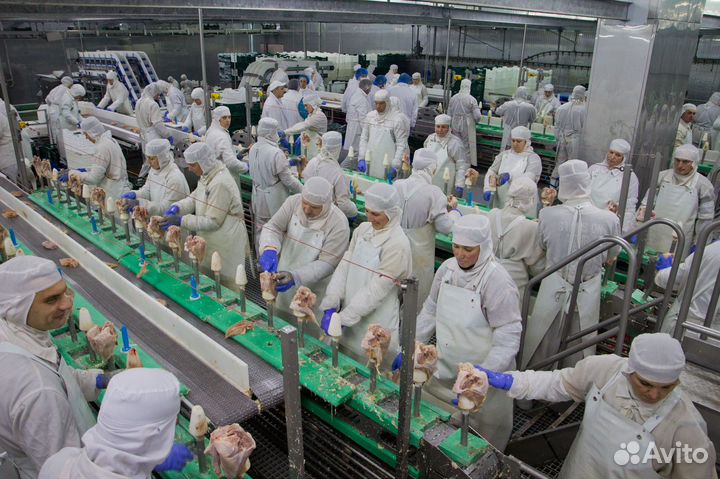 Работа на птицефабрике: набор на выходные Пермь