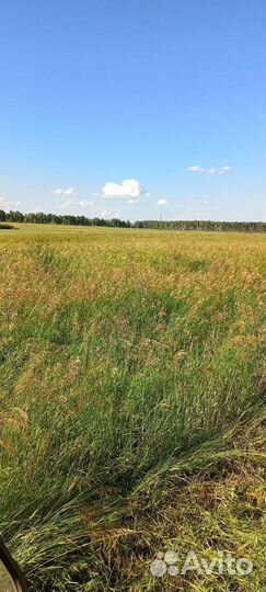 Сено в упаковке