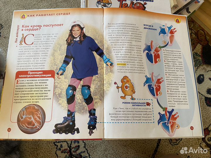 Тело человека (деагостини) +2 модели с органами