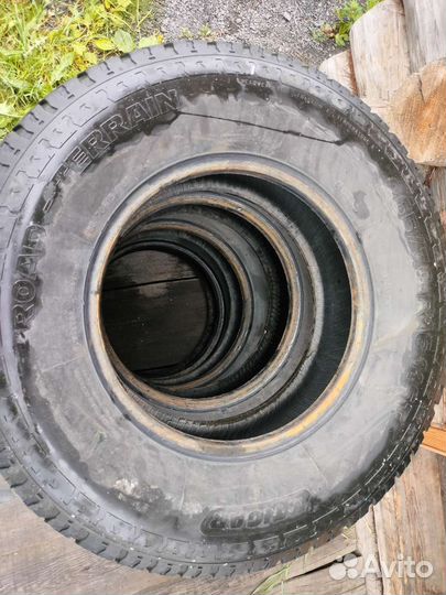 Tigar All Season 6/10 R16