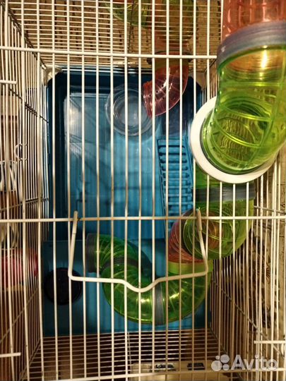 Клетка для хомяка большая