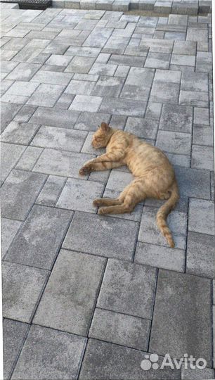 Плита тротуарная Оптом минимальный заказ 120 м2