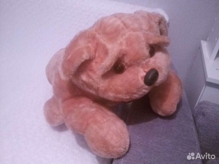 Собака большая