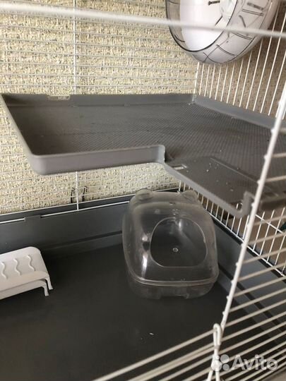 Клетка для грызунов бу