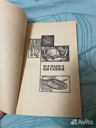 Книга 